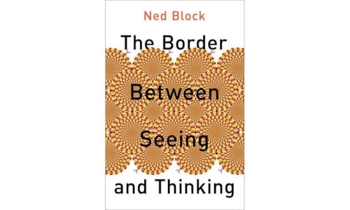 The Border Between Seeing and Thinking (Philosophy of Mind) von Oxford University Press Inc