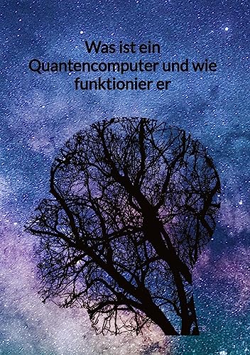 Was ist ein Quantencomputer und wie funktionier er: DE von Jaltas Books