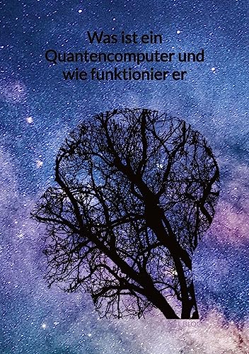 Was ist ein Quantencomputer und wie funktionier er: DE von tredition