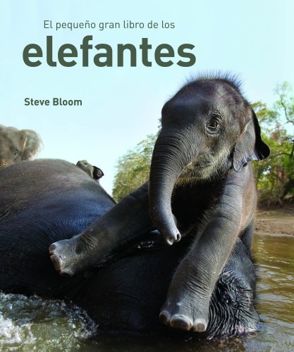 El pequeño gran libro de los elefantes , (ONIRO - LIBROS ILUSTRADOS I, Band 1) von Espasa Infantil