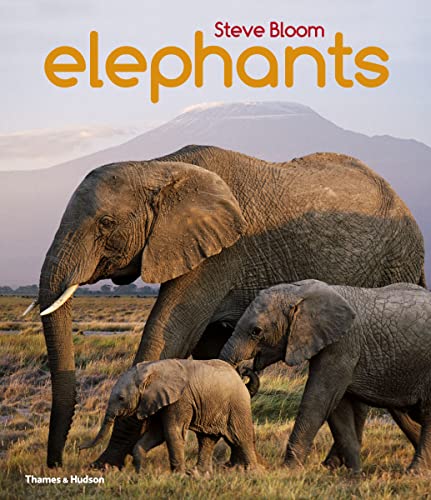 Elephants: A Book for Children von Thames & Hudson