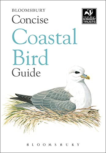 Concise Coastal Bird Guide (Concise Guides)