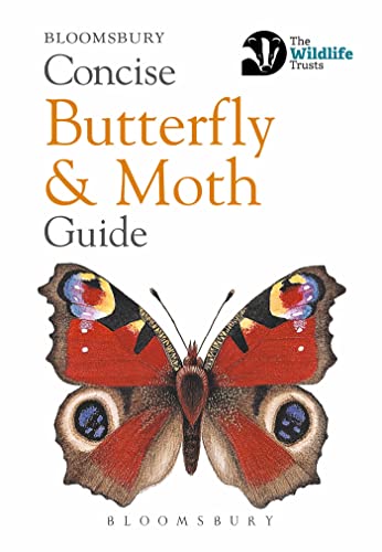 Concise Butterfly and Moth Guide (Concise Guides)