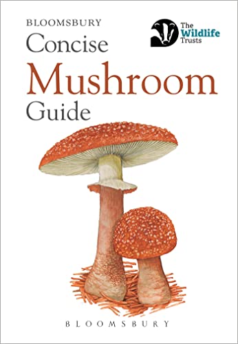 Concise Mushroom Guide (Concise Guides)