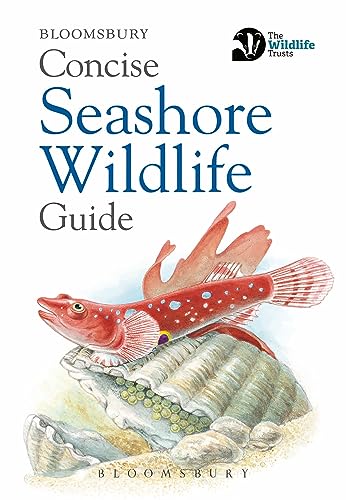 Concise Seashore Wildlife Guide (Concise Guides)
