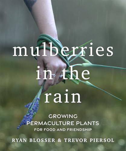 Mulberries in the Rain: Growing Permaculture Plants for Food and Friendship von New Society Publishers