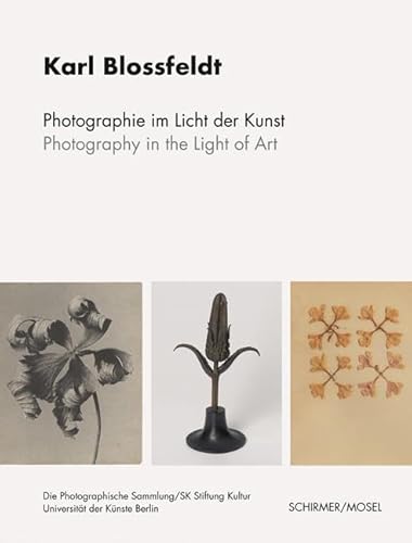 Photographie im Licht der Kunst / Photography in the Light of Art: Der Gesamtbestand Karl Blossfeldt aus dem Archiv der Universität der Künste Berlin Photographie im Licht der Kunst / Photography in the Light of Art: Der Gesamtbestand Karl Blossfeldt aus dem Archiv der Universität der Künste Berlin