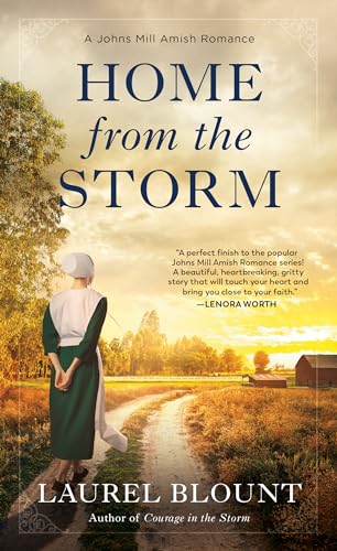 Home from the Storm (A Johns Mill Amish Romance, Band 4)