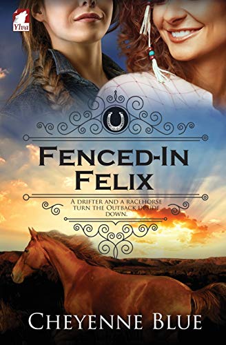 Fenced-In Felix (Girl Meets Girl, Band 3) von Ingramcontent