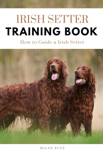 Irish Setter Training Book: How to Guide a Irish Setter