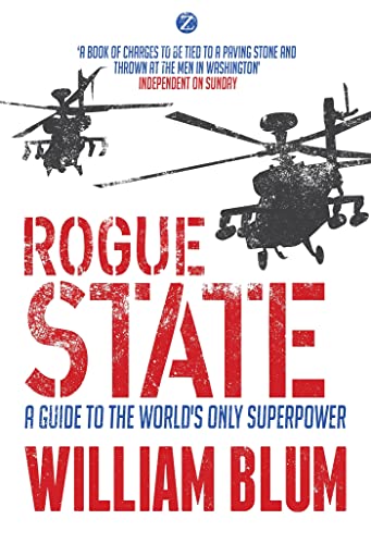 Rogue State: A Guide to the Worlds Only Superpower von Bloomsbury