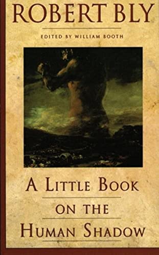 A Little Book on the Human Shadow A Little Book on the Human Shadow