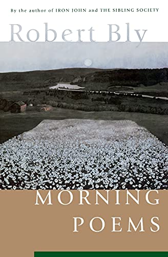 Morning Poems von Harper Perennial