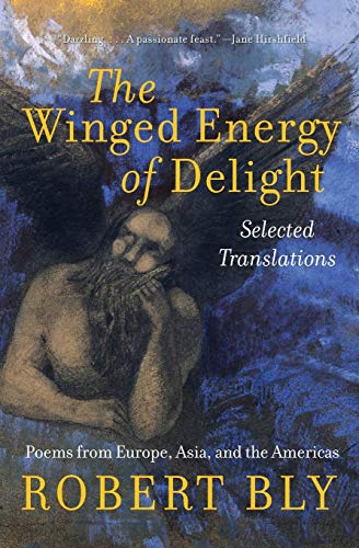 The Winged Energy of Delight: Selected Translations von Harper Perennial