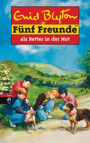 Fünf Freunde, Neubearb., Bd.11, Fünf Freunde als Retter in der Not (Einzelbände, Band 11)