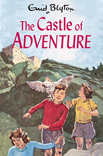 The Castle of Adventure (The Adventure Series, 2, Band 2) von Macmillan Children's Books