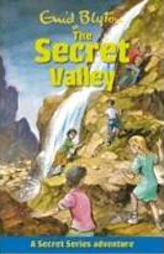 The Secret Valley (Secret Series, Band 6)