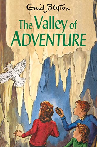 The Valley of Adventure (The Adventure Series, 3, Band 3) von Macmillan Children's Books
