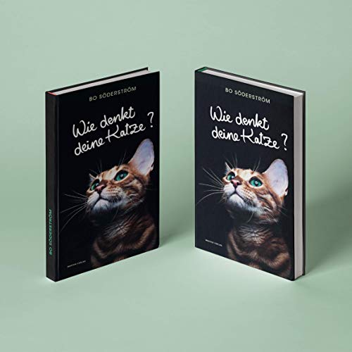 Wie denkt deine Katze? Das Handbuch für Katzenfreunde