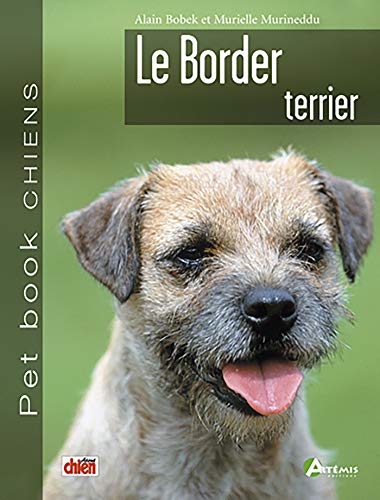 BORDER TERRIER