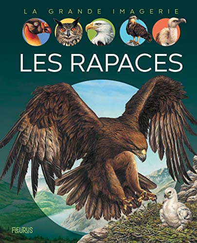 Les rapaces Les rapaces