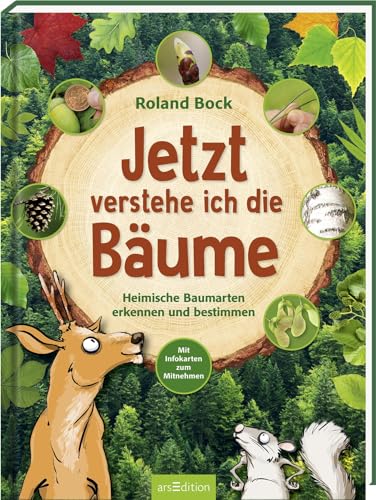 Jetzt verstehe ich die Bäume: Heimische Baumarten erkennen und bestimmen – mit Infokarten zum Mitnehmen | Kindersachbuch zu den 14 wichtigsten Laub- und Nadelbäumen ab 6 Jahren von Ars Edition