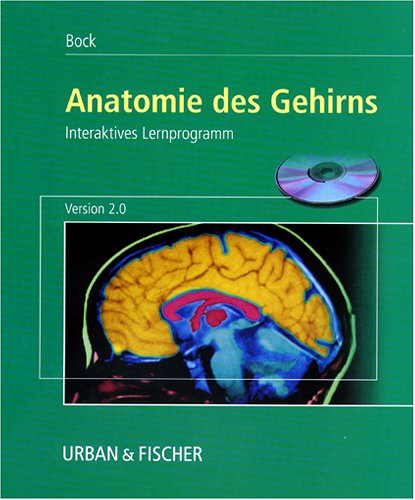 Anatomie des Gehirns 2.0, 1 CD-ROM Interaktives Lernprogramm von Urban & Fischer Verlag/Elsevier GmbH