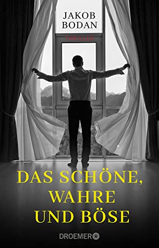 Das Schöne, Wahre und Böse: Thriller