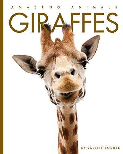 Giraffes (Amazing Animals) von Creative Education