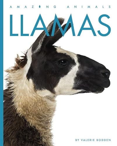 Llamas (Amazing Animals) von Creative Paperbacks