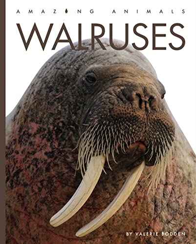 Walruses (Amazing Animals) von Creative Paperbacks