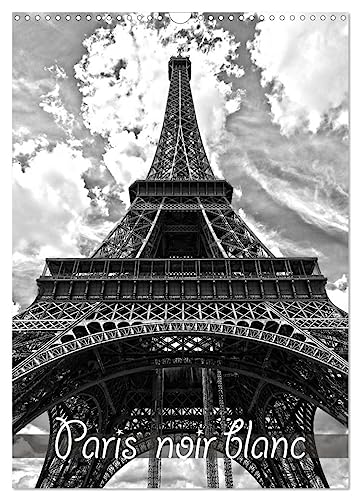 Paris noir blanc (Calendrier mural 2025 DIN A3 horizontal), CALVENDO calendrier mensuel: La capitale Paris en noir et blanc, vue d'un taxi von Calvendo