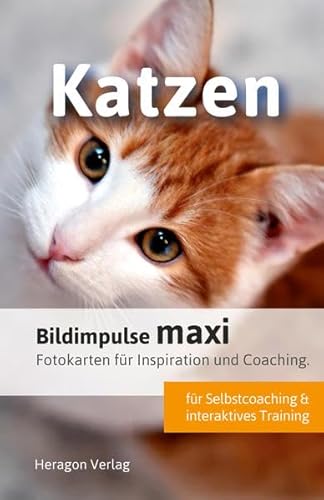 Bildimpulse maxi: Katzen: Fotokarten für Inspiration und Coaching. von Heragon Verlag GmbH
