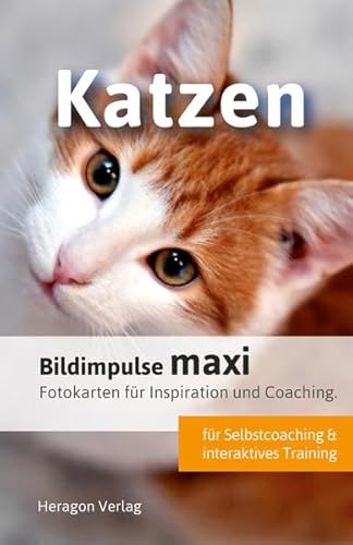 Bildimpulse maxi: Katzen: Fotokarten für Inspiration und Coaching. Bildimpulse maxi: Katzen: Fotokarten für Inspiration und Coaching. von Heragon Verlag