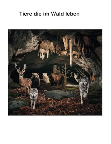 Tiere die im Wald leben: Malbuch von Independently published