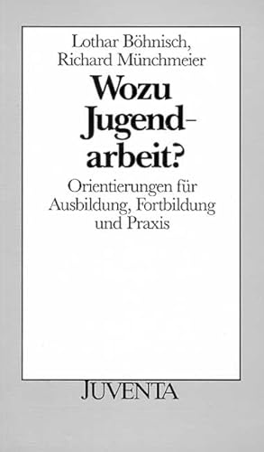 Wozu Jugendarbeit: Orientierungen für Ausbildung, Fortbildung und Praxis (Juventa Paperback)