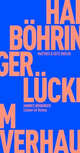 Lücken im Verhau (Fröhliche Wissenschaft) von Matthes & Seitz Berlin