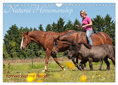 Natural Horsemanship - Partnerschaft mit Pferden (Wandkalender 2025 DIN A4 quer), CALVENDO Monatskalender von CALVENDO
