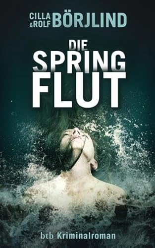 Die Springflut: Roman: Kriminalroman. Deutsche Erstausgabe (Die Rönning/Stilton-Serie, Band 1)