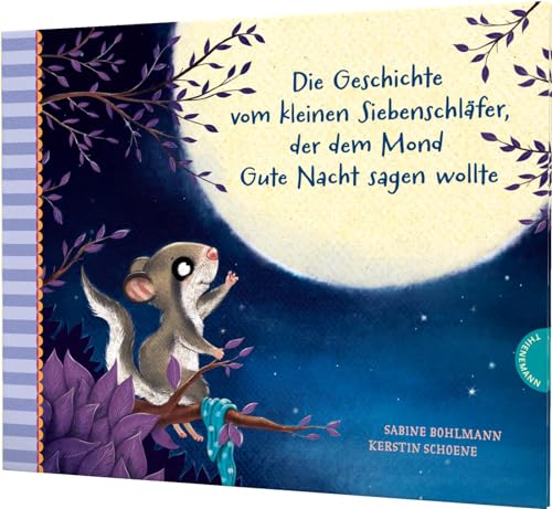 Der kleine Siebenschläfer 6: Die Geschichte vom kleinen Siebenschläfer, der dem Mond Gute Nacht sagen wollte: Einschlafgeschichte für Kinder ab 4 Jahren (6)
