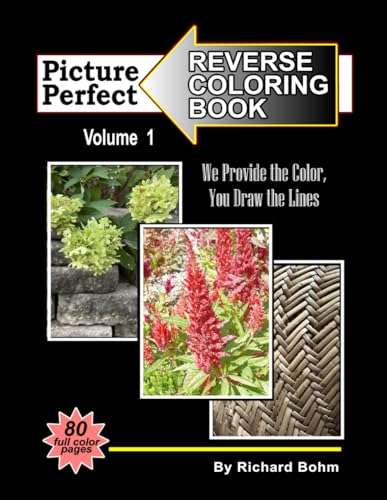 Picture Perfect Reverse Coloring Book: Volume 1 von Independently published