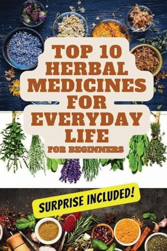 Top 10 Herbal Medicines for Everyday Life for Beginners von DB publishing