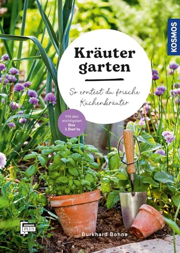 Kräutergarten: So erntest du frische Küchenkräuter