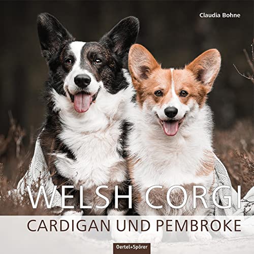 Welsh Corgi. Cardigan und Pembroke