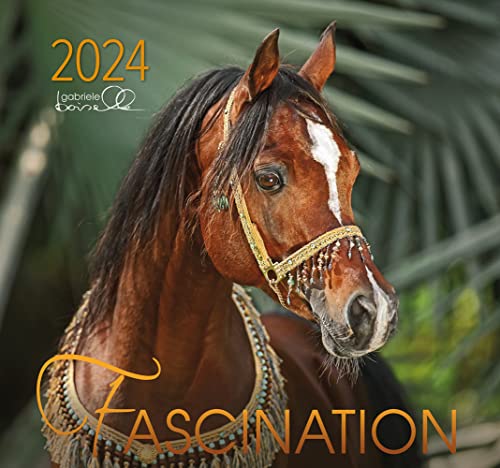 Fascination 2024: Arabische Pferde von Edition Boiselle