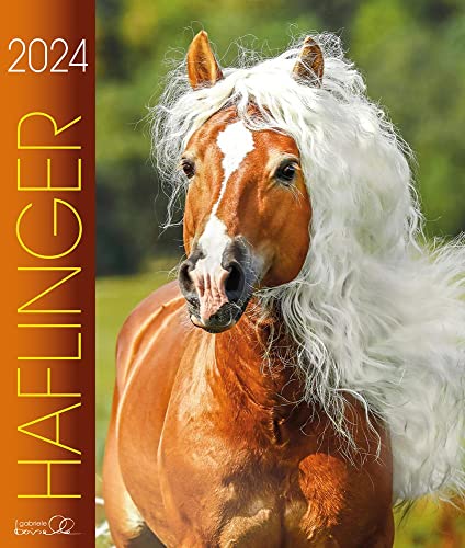 Haflinger 2024: Haflinger Pferde von Edition Boiselle