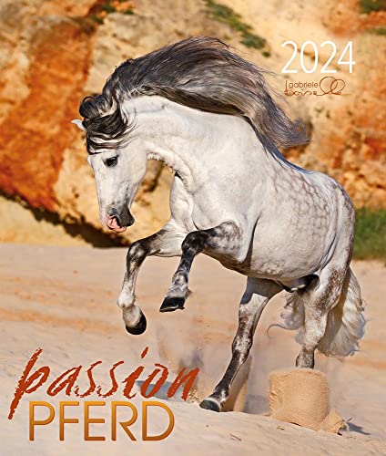 Passion Pferd 2024: Verschiedene Pferderassen
