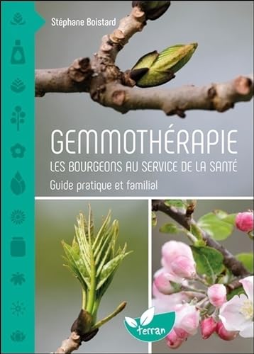 Gemmothérapie - Les bourgeons au service de la santé - Guide pratique et familial von DE TERRAN