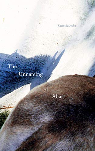 The Unnaming of Aliass von Punctum Books