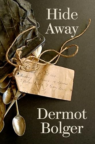 Hide Away von New Island Books